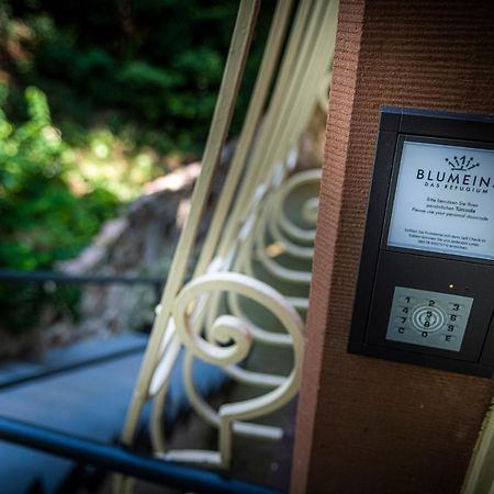 Blumeins - Das Refugium Groß-Umstadt Exteriér fotografie
